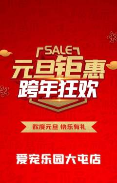 宠物店抢购单品抢购元旦活动配图海报