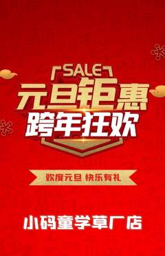 少儿编程抢购单品抢购元旦活动配图海报