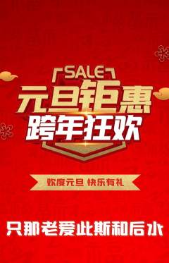 羽毛球馆抢购单品抢购元旦活动配图海报