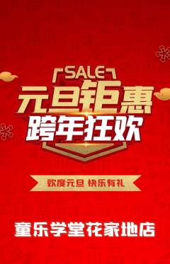 早教抢购单品抢购元旦活动配图海报