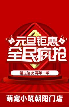 宠物店抢购自选套组抢购元旦活动配图海报