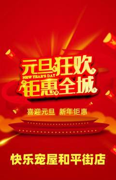 宠物店抢购套组抢购元旦活动配图海报