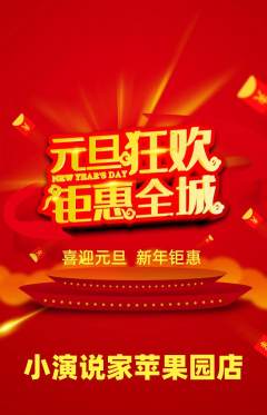 少儿口才抢购单品抢购元旦活动配图海报