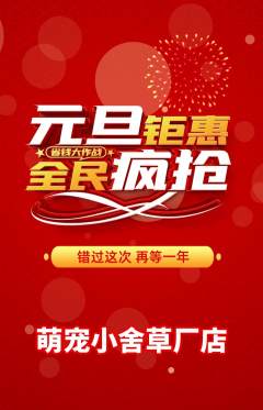 宠物店抢购自选套组抢购元旦活动配图海报
