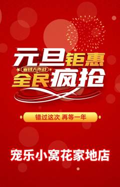 宠物店抢购单品抢购元旦活动配图海报