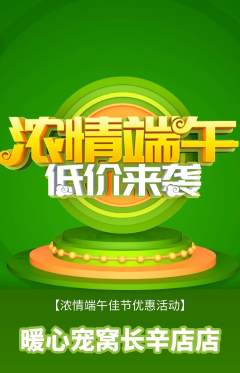 宠物店抢购自选套组抢购端午节活动配图海报