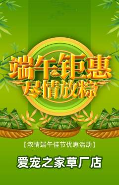 宠物店抢购多单品抢购端午节活动配图海报