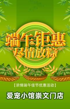 宠物店抢购自选套组抢购端午节活动配图海报