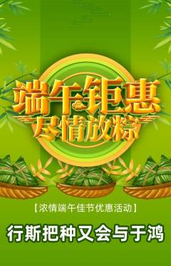 羽毛球馆抢购套组抢购端午节活动配图海报