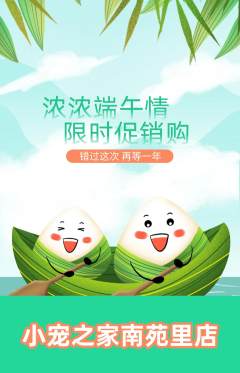 宠物店抢购套组抢购端午节活动配图海报