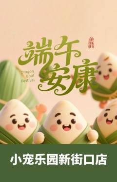 宠物店抢购套组抢购端午节活动配图海报
