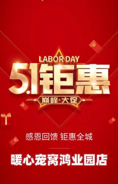 宠物店抢购自选套组抢购劳动节活动配图海报