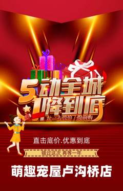 宠物店抢购单品抢购劳动节活动配图海报