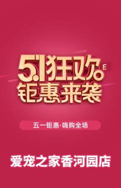 宠物店抢购满血版劳动节活动配图海报