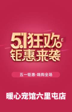 宠物店抢购多单品抢购劳动节活动配图海报