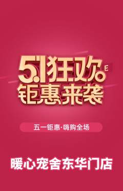 宠物店抢购单品抢购劳动节活动配图海报