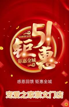 宠物店抢购单品抢购劳动节活动配图海报