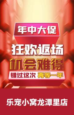 宠物店抢购套组抢购年中大促活动配图海报