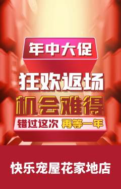 宠物店抢购单品抢购年中大促活动配图海报