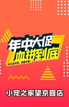 宠物店抢购单品抢购年中大促活动配图海报
