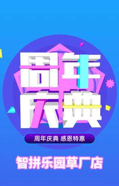 少儿乐高抢购满血版周年庆典活动配图海报