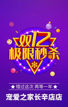 宠物店抢购满血版双12活动配图海报
