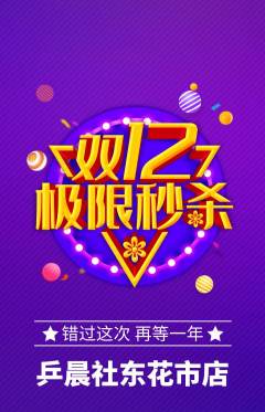 乒乓球馆抢购套组抢购双12活动配图海报