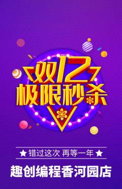 少儿编程抢购单品抢购双12活动配图海报