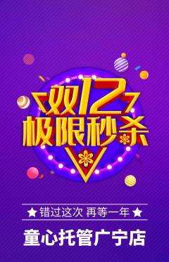 晚托班抢购多单品抢购双12活动配图海报