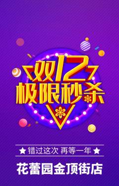 幼儿园抢购满血版双12活动配图海报