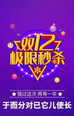 羽毛球馆抢购满血版双12活动配图海报
