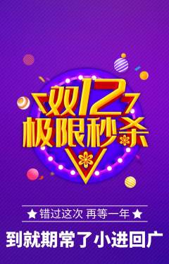羽毛球馆抢购套组抢购双12活动配图海报