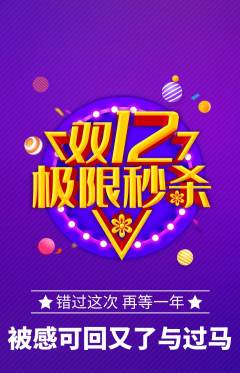羽毛球馆抢购单品抢购双12活动配图海报