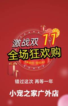宠物店抢购单品抢购双11活动配图海报