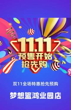 篮球馆抢购自选套组抢购双11活动配图海报