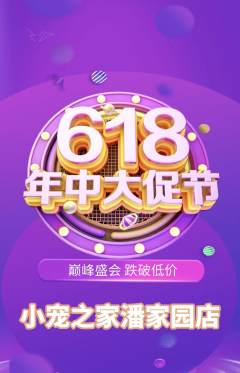 宠物店抢购单品抢购年中大促活动配图海报