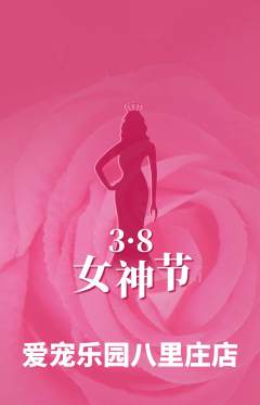 宠物店抢购单品抢购女神节活动配图海报