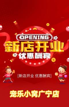 宠物店抢购满血版新店开业活动配图海报