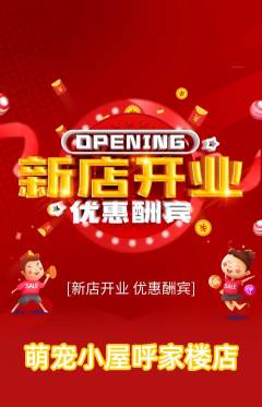 宠物店抢购套组抢购新店开业活动配图海报