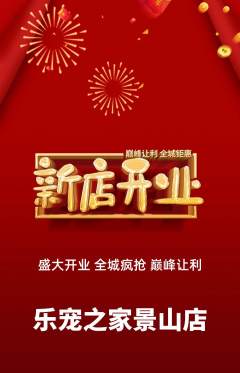 宠物店抢购自选套组抢购新店开业活动配图海报
