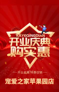 宠物店抢购单品抢购新店开业活动配图海报