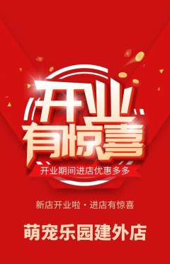宠物店抢购套组抢购新店开业活动配图海报