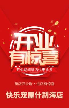 宠物店抢购自选套组抢购新店开业活动配图海报