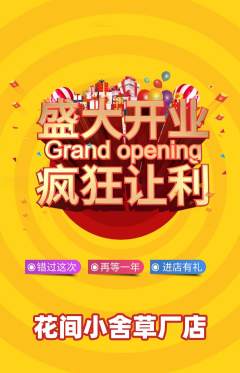 鲜花店抢购自选套组抢购新店开业活动配图海报