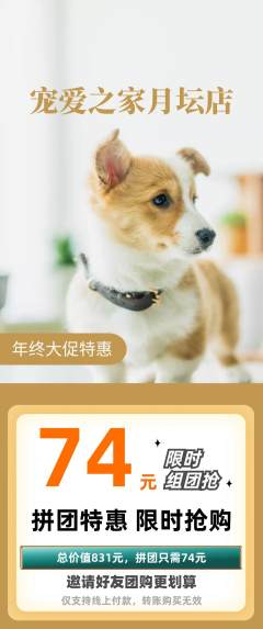 宠物店拼团满血版年终大促活动配图海报