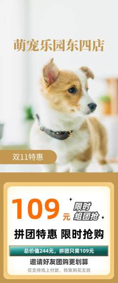宠物店拼团满血版双11活动配图海报