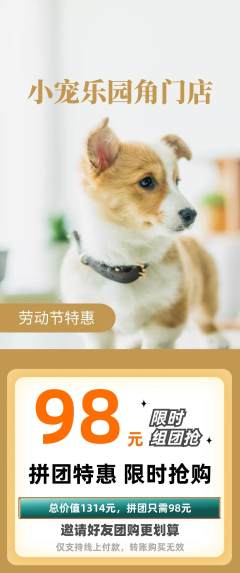 宠物店拼团满血版劳动节活动配图海报