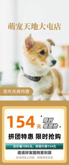 宠物店拼团满血版周年庆典活动配图海报