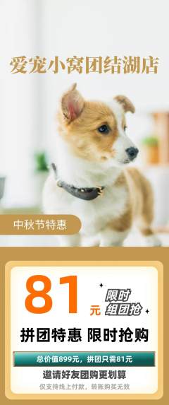 宠物店拼团满血版中秋节活动配图海报