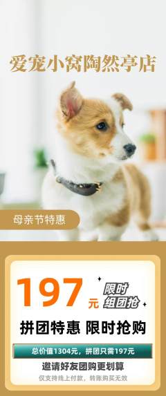 宠物店拼团价格阶梯团母亲节活动配图海报